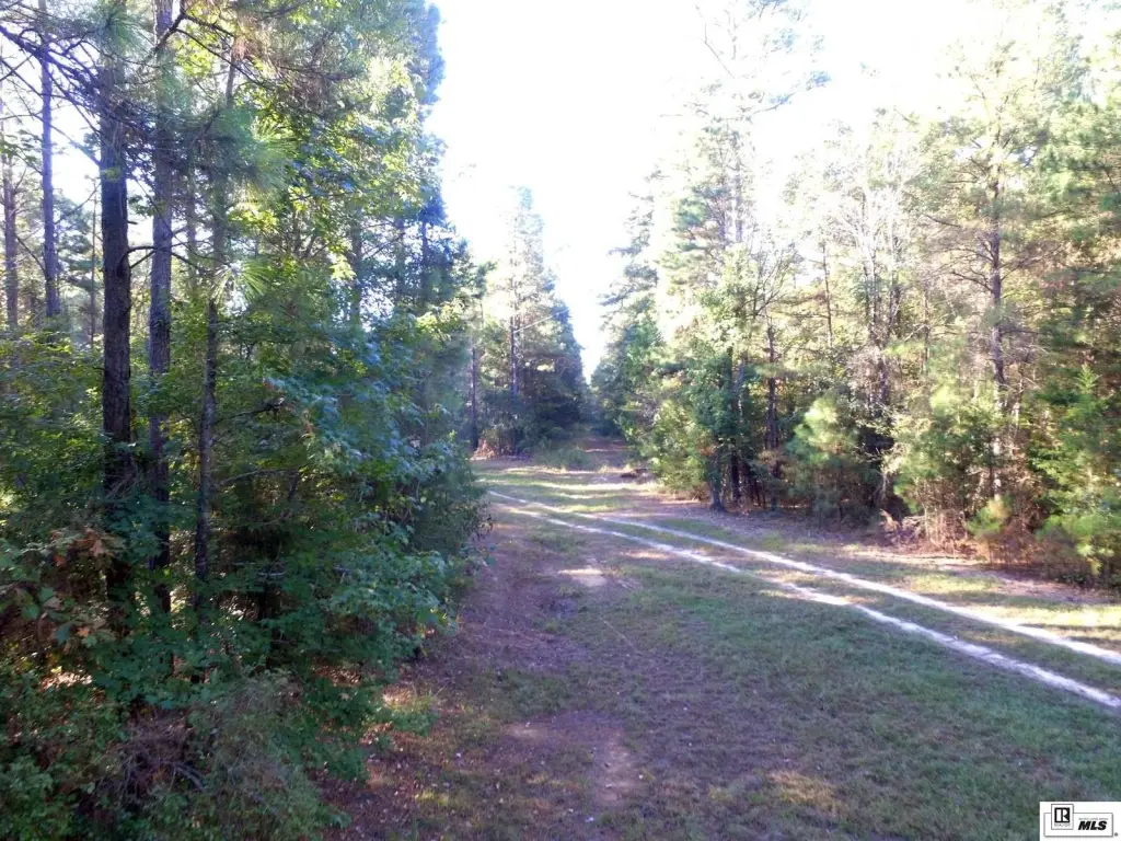 Picture 19