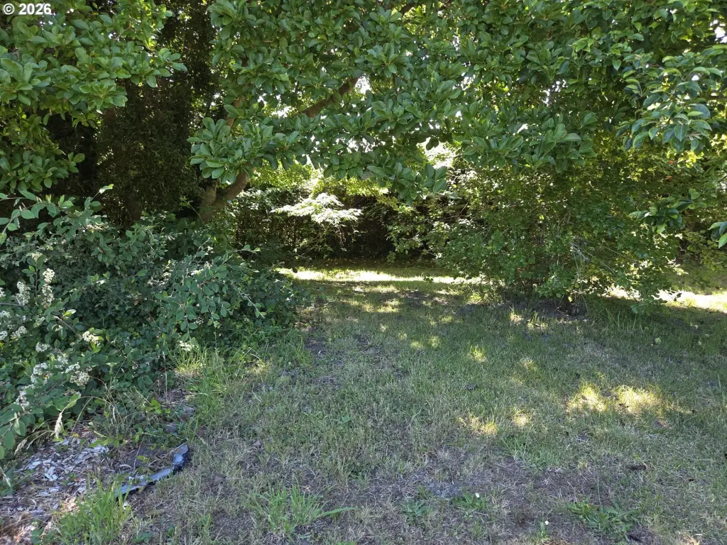 Picture 20