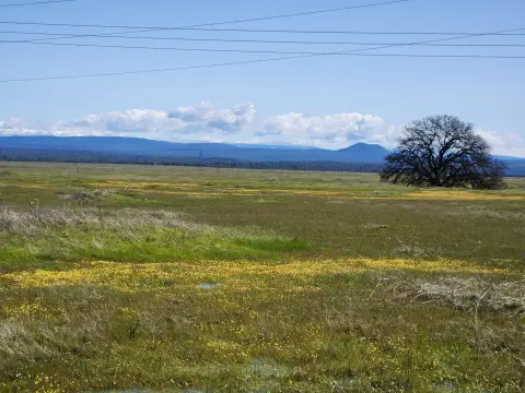 40 Acres in Millville, CA
