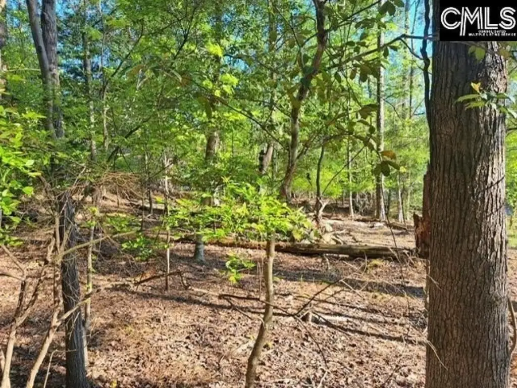 Picture 7