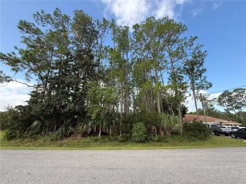 Palm Coast Wooded Lot