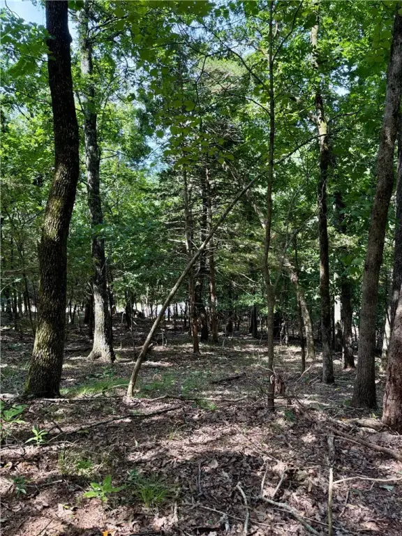 Picture 8