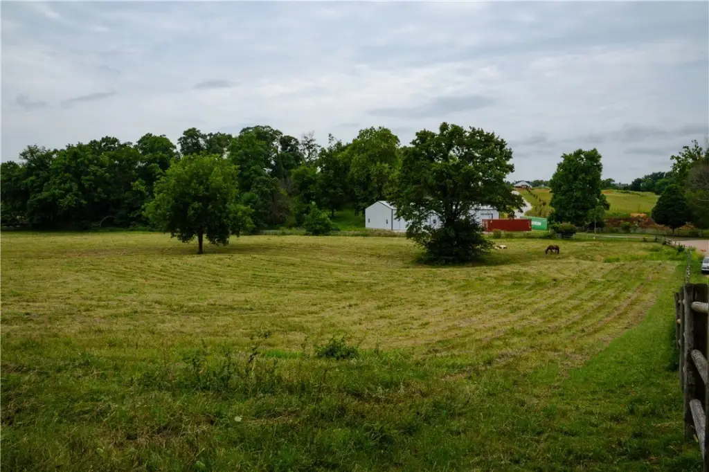 Picture 23