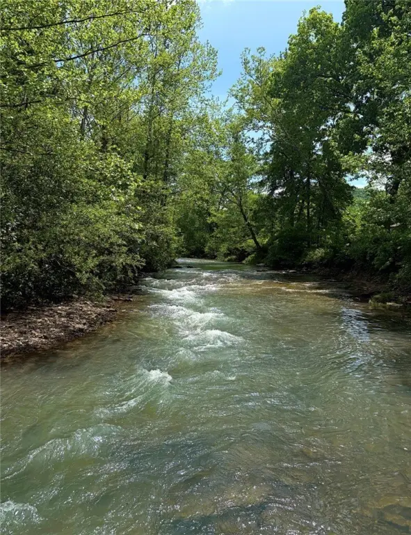 Picture 23