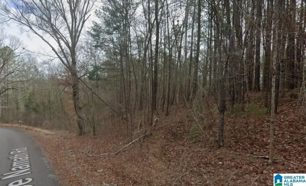 Picture 3