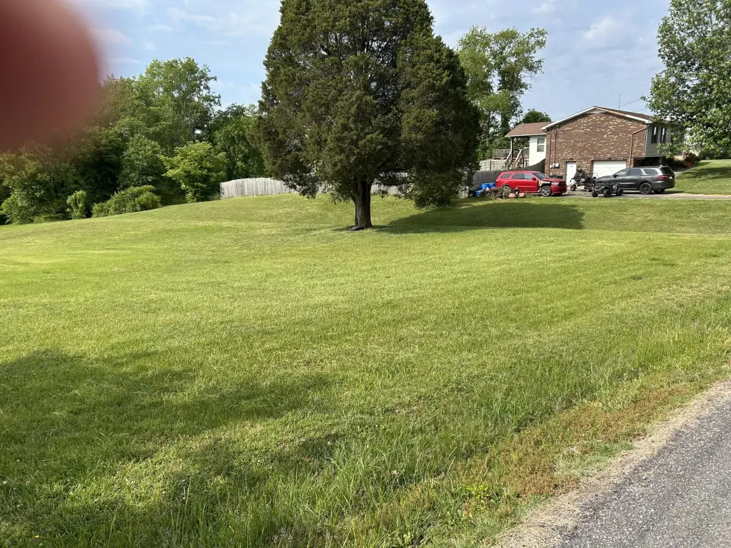 Picture 2