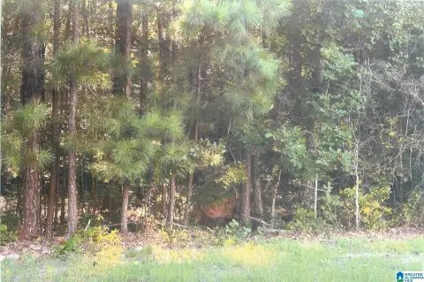 Wooded Lot with Lake Access