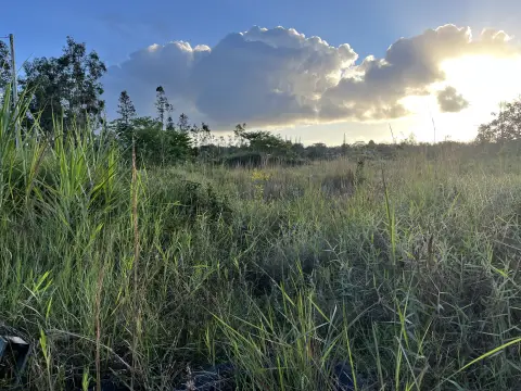 3 Acres in Hawaiian Acres