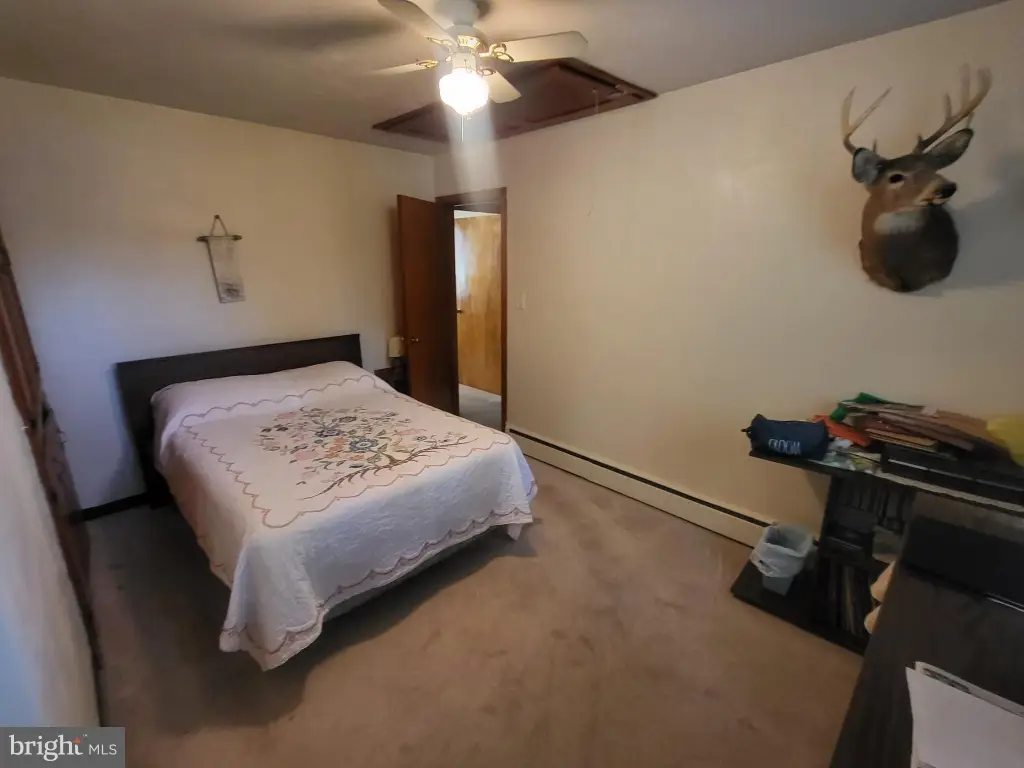 Picture 8