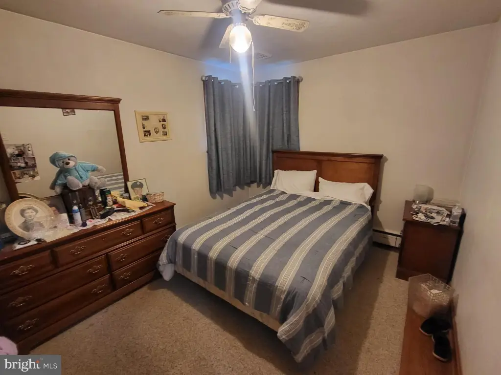 Picture 7