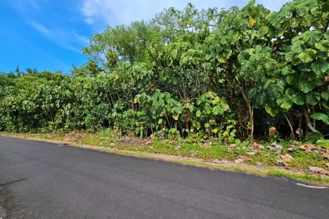 Pahoa Land Collection Near Ocean