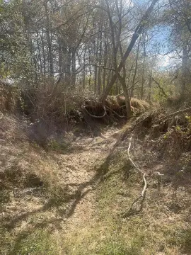 29 Acres for Custom Home