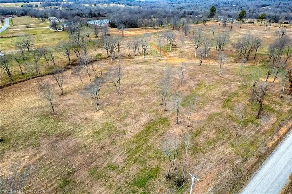 Picture 8