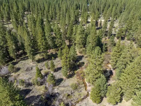 Placerville Land with Creek Frontage