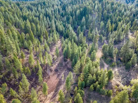 Placerville Land with Creek Frontage