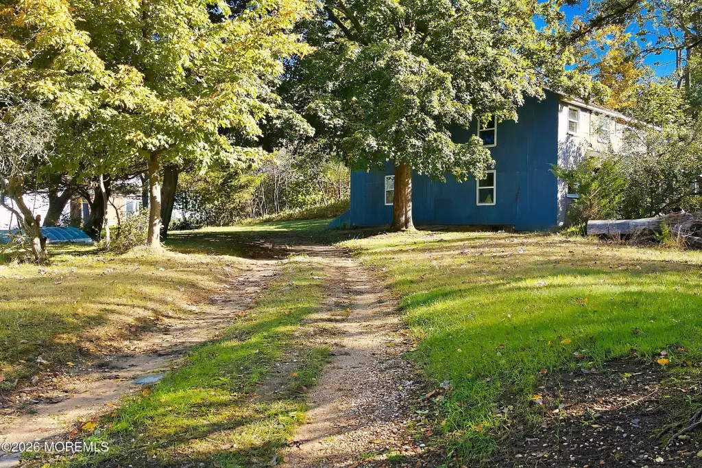 Picture 8