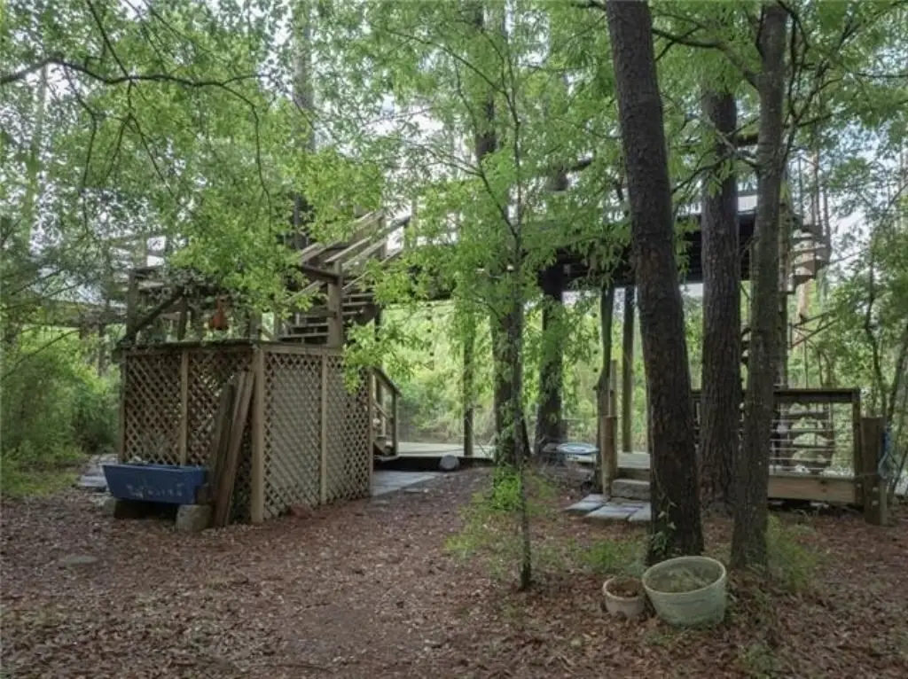 Picture 5