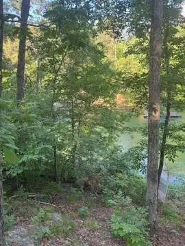 Smith Lake Main Channel Land