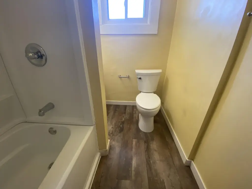 Picture 11