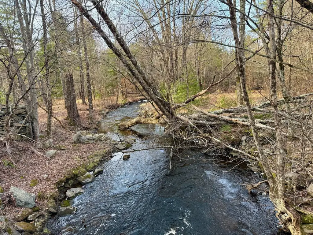 Picture 30