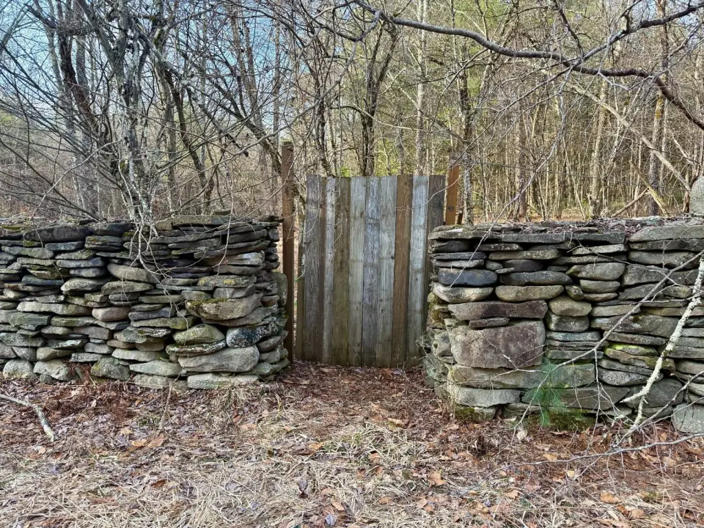 Picture 14