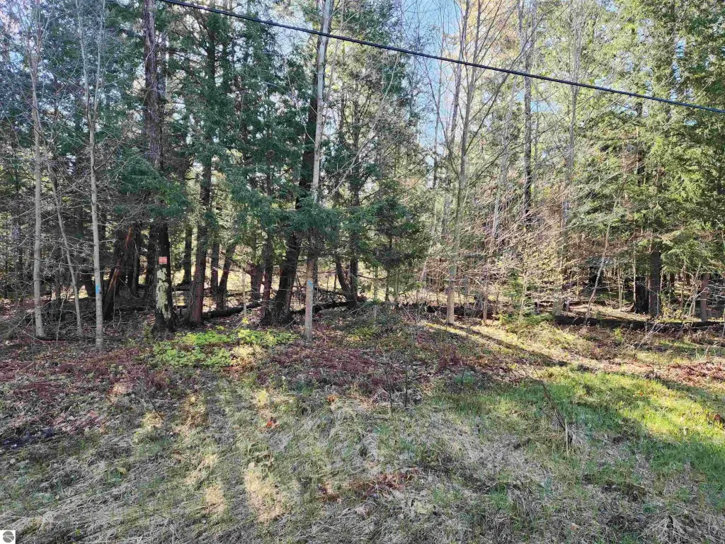 Picture 25