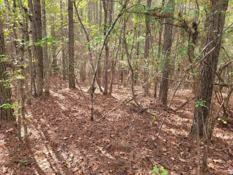 Unrestricted Wooded Acreage in Tennessee