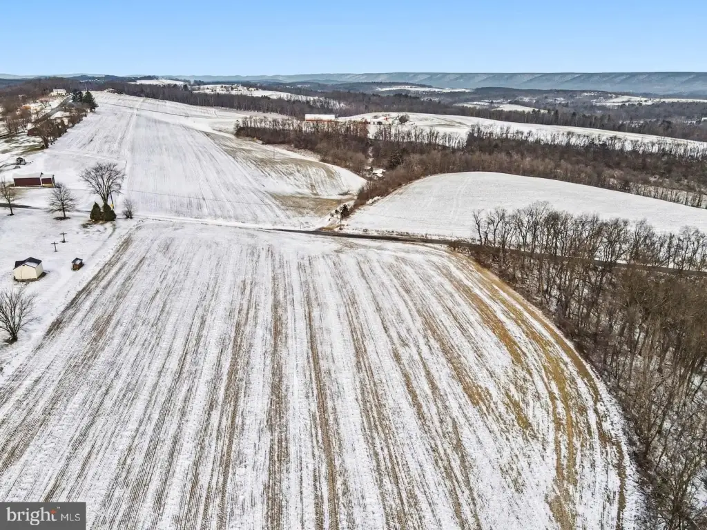 Picture 27