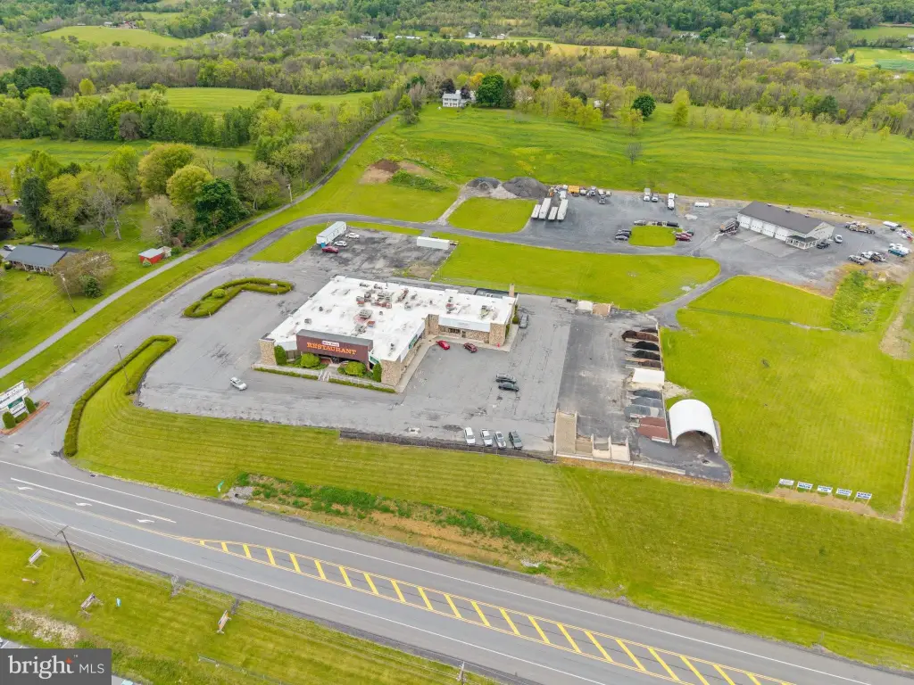 Picture 11