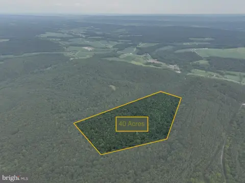 Wooded Hunting Land