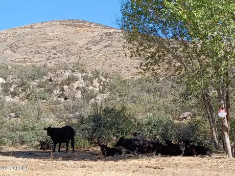 Humboldt, AZ Land For Sale
