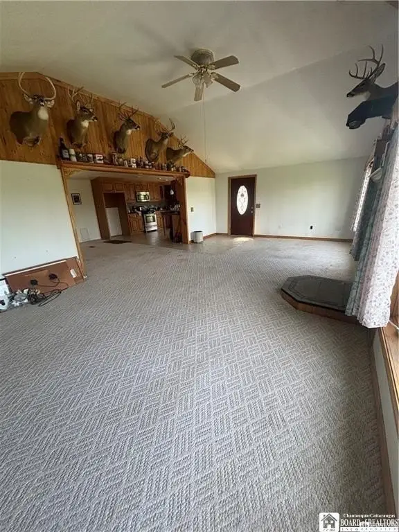 Picture 14