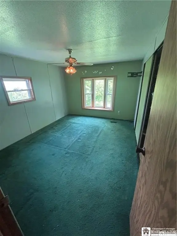 Picture 19