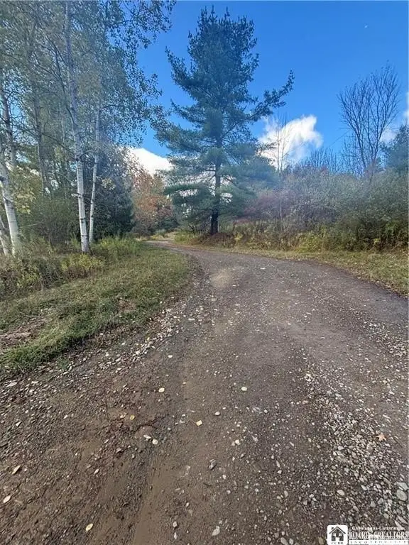Picture 23