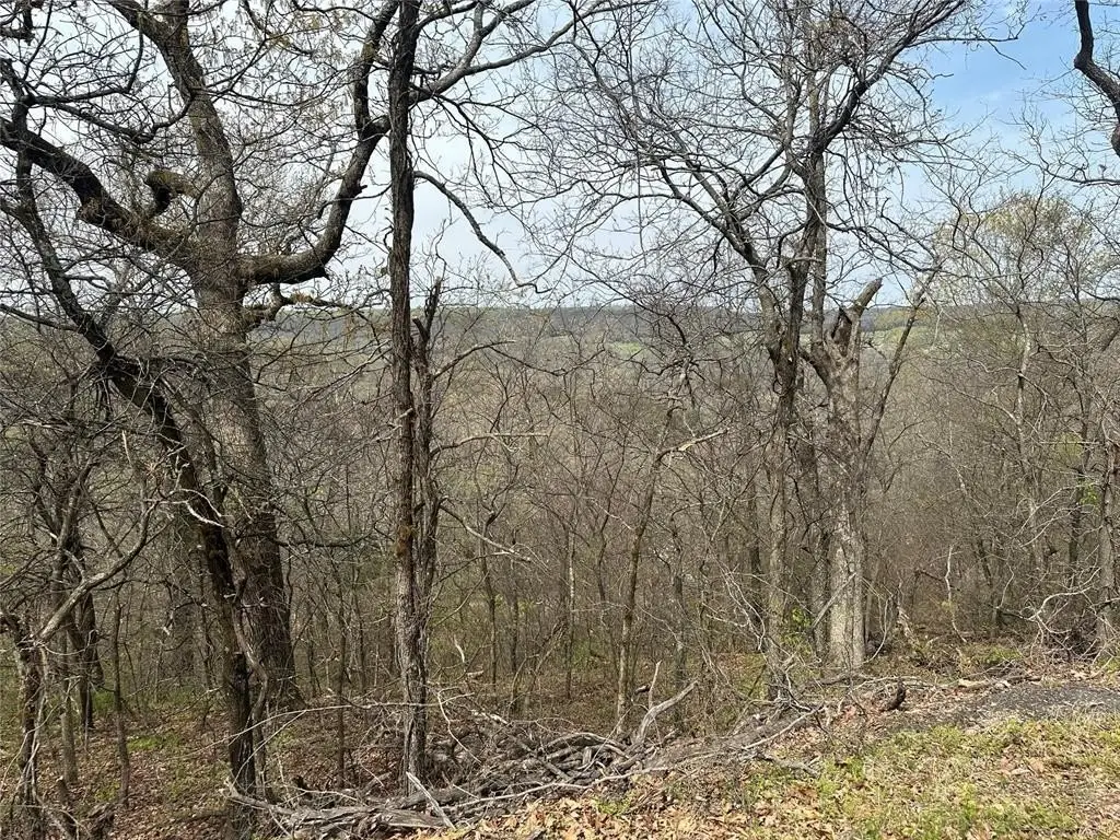 Picture 3