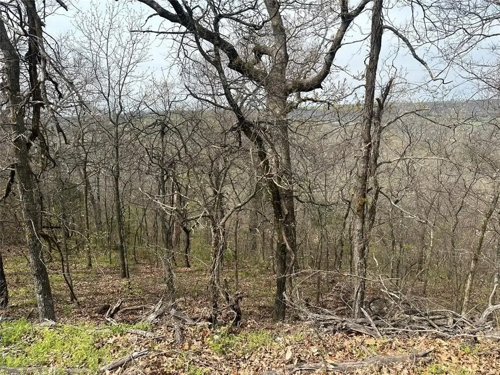 Picture 4
