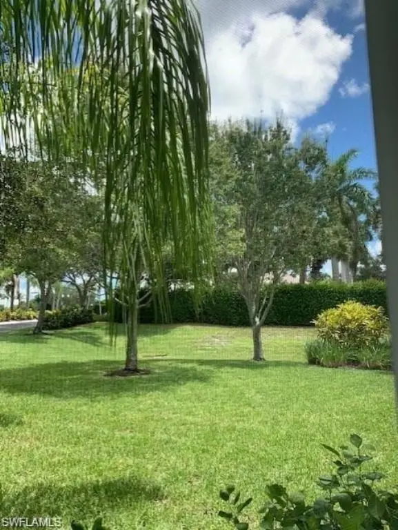Picture 26