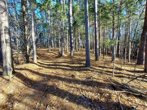 56-Acre Hunting Farm in Kentucky
