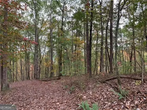 Resort Land with Mountain Views