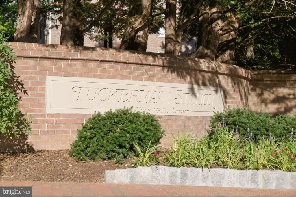 Picture 45