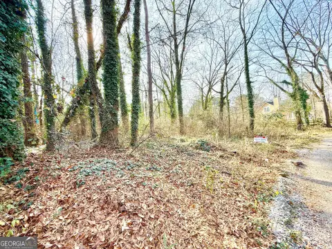 Atlanta Land Near Anderson Park