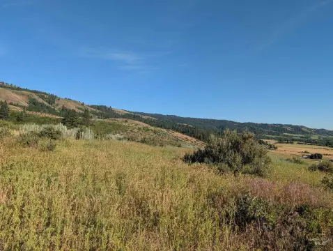 Ridge-View Hunting Land with Private Road Access