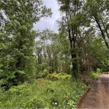 Mulberry Land for Recreation/Construction