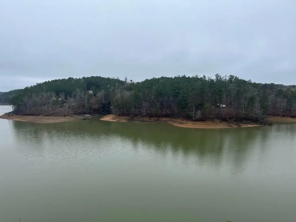 Picture 14