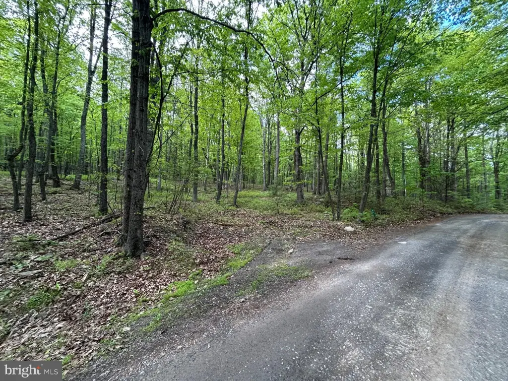 Picture 23