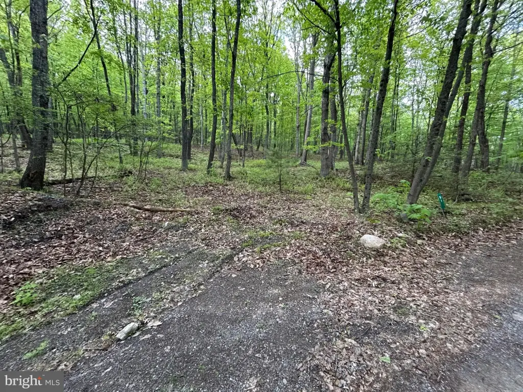 Picture 21