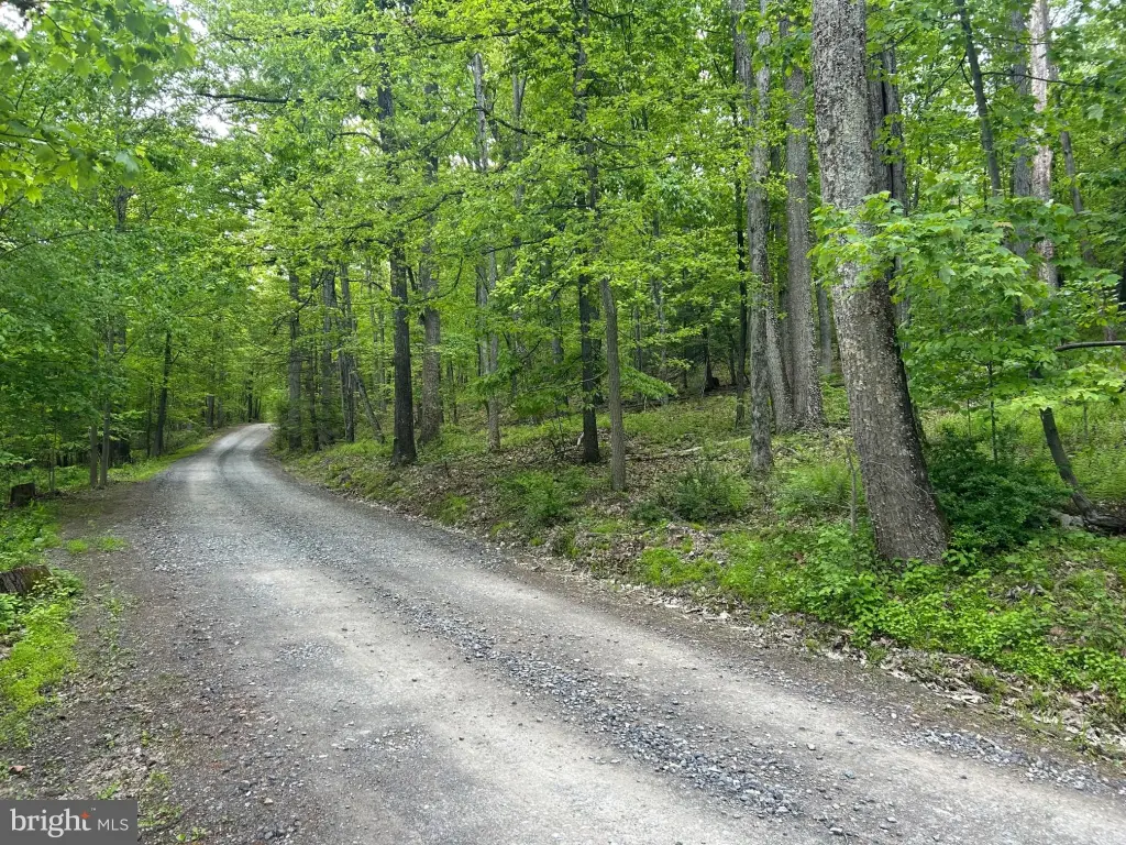 Picture 22