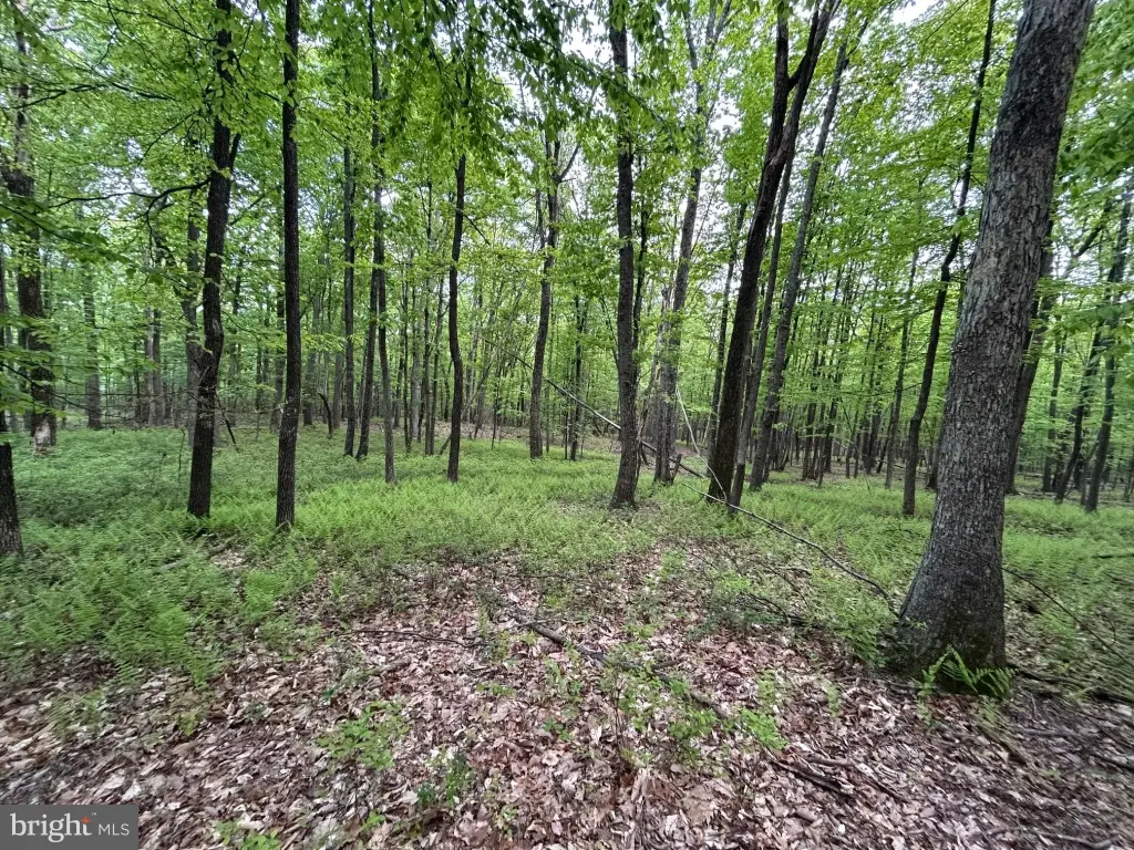 Picture 18