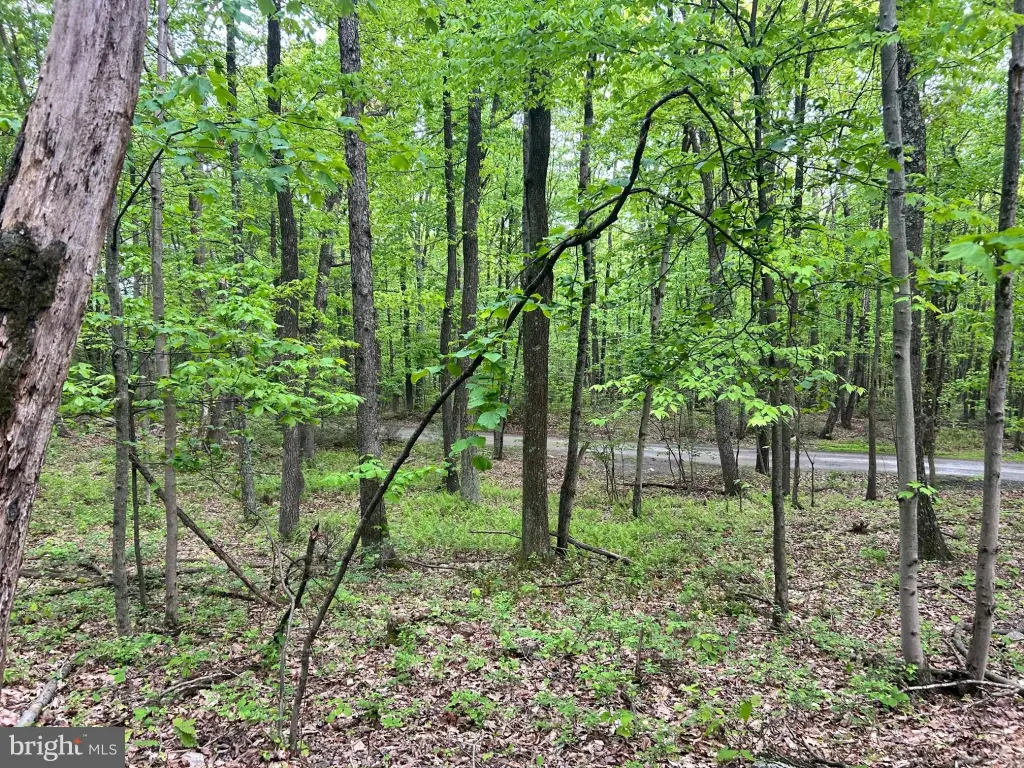 Picture 7