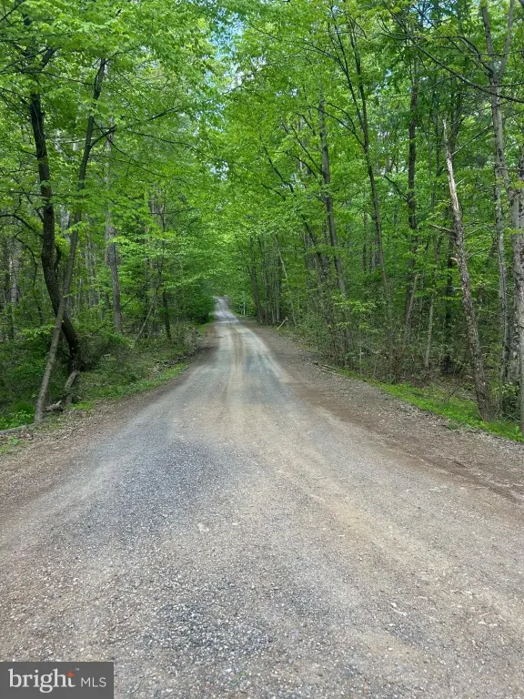 Picture 25